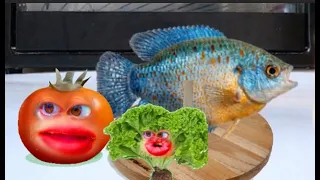 Tomat vs Ikan: Siapa Paling Drama?