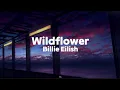 Billie Eilish - Wildflower (Lyrics)