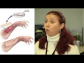 Bio-engineered scaffolding for skin