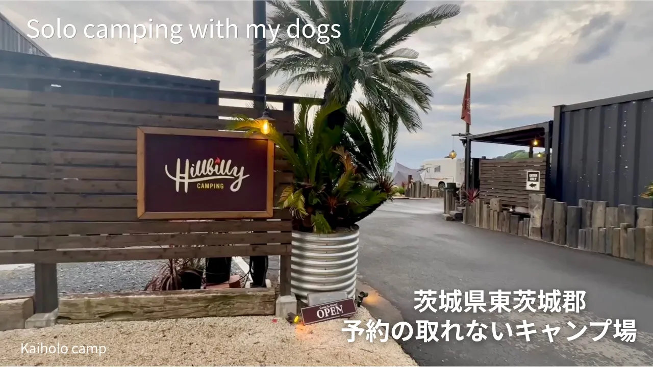 【50代女子⁉︎犬連れソロキャンプ】茨城県東茨城郡にある予約の取れないキャンプ場は素敵すぎた⭐︎｜Hillbilly Camping｜Solo camping Vlog［87］ 썸네일