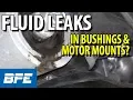 What Is The Fluid Inside Bushings And Motor Mounts Tech Minute