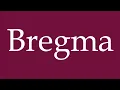 Download Lagu How to Pronounce ''Bregma'' Correctly in German