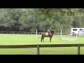 marco snips 720p