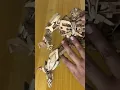 Bumblebee made from cardboard