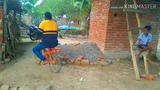        دندنها