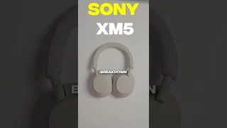 Sony XM4 V S XM5 Which Headphones To Buy In 2024  Sony XM4 V S XM5 Which Headphones To Buy In 2024