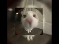 One More Night - Maroon 5 (sped up)