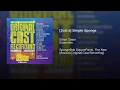 (Just a) Simple Sponge - Ethan Slater & Ensemble