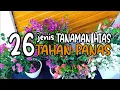 Download Lagu 26 JENIS TANAMAN HIAS  TAHAN PANAS | 26 TYPES OF HEAT RESISTANT ORNAMENTAL PLANTS (PART 1)