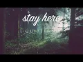Download Lagu LiQWYD \u0026 Carl Storm - Stay Here [Official]