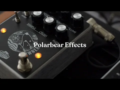 Polarbear Effects Drowner Fuzz/Bitcrusher/Reverb | Delicious Audio