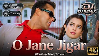 o jaane jigar dj remix salman khan ameesha patel kumar sanu alka yagnik old is gold 