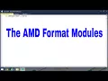 Modules The AMD Format