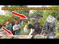 Download Lagu Macan Ngamuk Tembok Pagar Sampai Roboh Bantengan Macan Kumbang Surya Buana