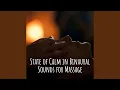 Mellow Massage Meditation