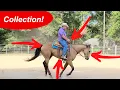 Why Always Riding on a Loose Rein Creates Problems
