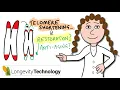 Why telomeres shorten and restoration strategies in aging
