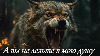 Garik Garik А вы не лезьте в мою душу 