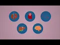 How do you test for preeclampsia