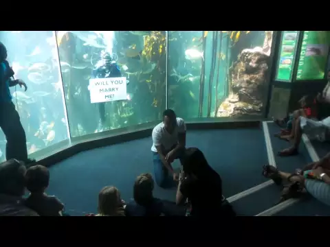 Download MP3 A proposal at the Two Oceans Aquarium