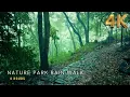 [4K] Refreshing Walk in Rain in a Nature Park | Relaxing Rain Ambience for Sleep \u0026 Study - ASMR