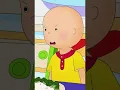 Caillou Gets Grounded Caillou Shorts for Kids WildBrain Bites