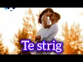 Lagu Deyu Music - Te strig