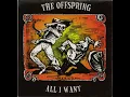 The Offspring - All I Want ((Guitar Backing Track))