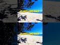 Download Lagu Kantiang Bay, Ko Lanta 2025 | Thailand’s Hidden Paradise 🏝️🌅✨#shorts #travelguide #kohlanta