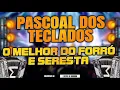Download Lagu PASCOAL DOS TECLADOS - O MELHOR DO FORRÓ E SERESTA AO VIVO