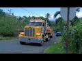 Yellow Peterbilt 379 Caught In Action