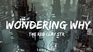 Download The Red Clay Strays - Wondering Why (Lyrics)  ||  Music Sunny MP3
