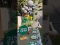 dinosaur world birt ay theme
