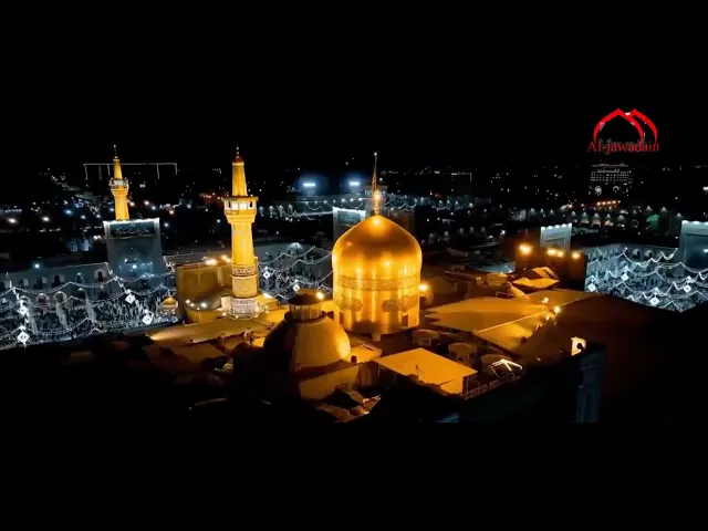 ⁣يا أنيس النفوس وحبيبها....هذه النفوس صلت بجراحها على اعتابك...فذكرى رحيلك صاحت وحق البكاء لأجلك...
