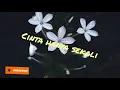 Download Lagu DJ cinta hanya sekali