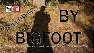 Followed by Bigfoot