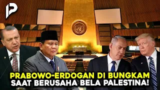 Drama di SIDANG PBB! Microphone Prabowo–Erdogan Dimatikan  saat Pidato Bela Palestina