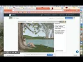 WATCH ME 6th Gizmo - Cell Types Directions Activity A and B