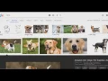 Unity Asset Store 4 Pics 1 Word - PHP MYSQL