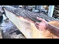 amazing saman wood shavings at the sawmill