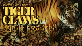 cakar harimau mematikan tiger deadly claws 