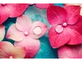 Download Lagu Spamuziek, Massagemuziek, Relaxen, Meditatiemuziek, Instrumentale muziek om te Relaxen, ☯2588