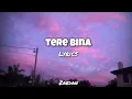 Download Lagu TERE BINA - Zaeden | Lyrics