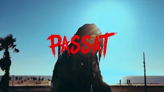 PASSAT (Visualizer)