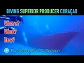 Diving Superior Producer - Curaçao | The Shore Dive Collection | TropicLens