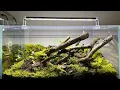Download Lagu HOW TO MAKE TERRARIUM FOR GIANT AFRICAN MILLIPEDE’S! #2