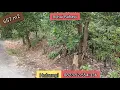 Download Lagu Dijual tanah di Balikpapan-Dkt Dome Sport Centre