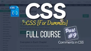 CSS Full Course 09 - How to use CSS Comments Writing Comments in CSS CSS Tutorial for Beginners