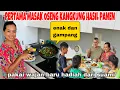 Download Lagu MASAK 4 MENU OSENG KANGKUNG HASIL PANEN DI KEBUN SENDIRI\u0026 PAKAI WAJAN BARU HADIAH DARI SUAMI ‼️