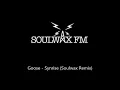 Goose - Synrise (Soulwax Remix)